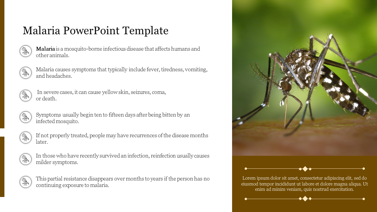 Free - Editable Malaria PowerPoint Template Presentation Slide 